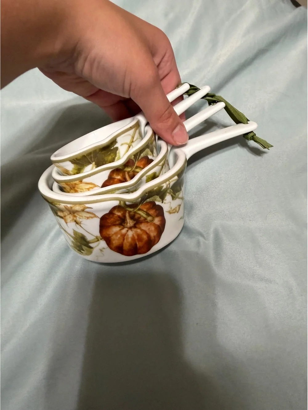 Botanical pumpkin measuring cups set